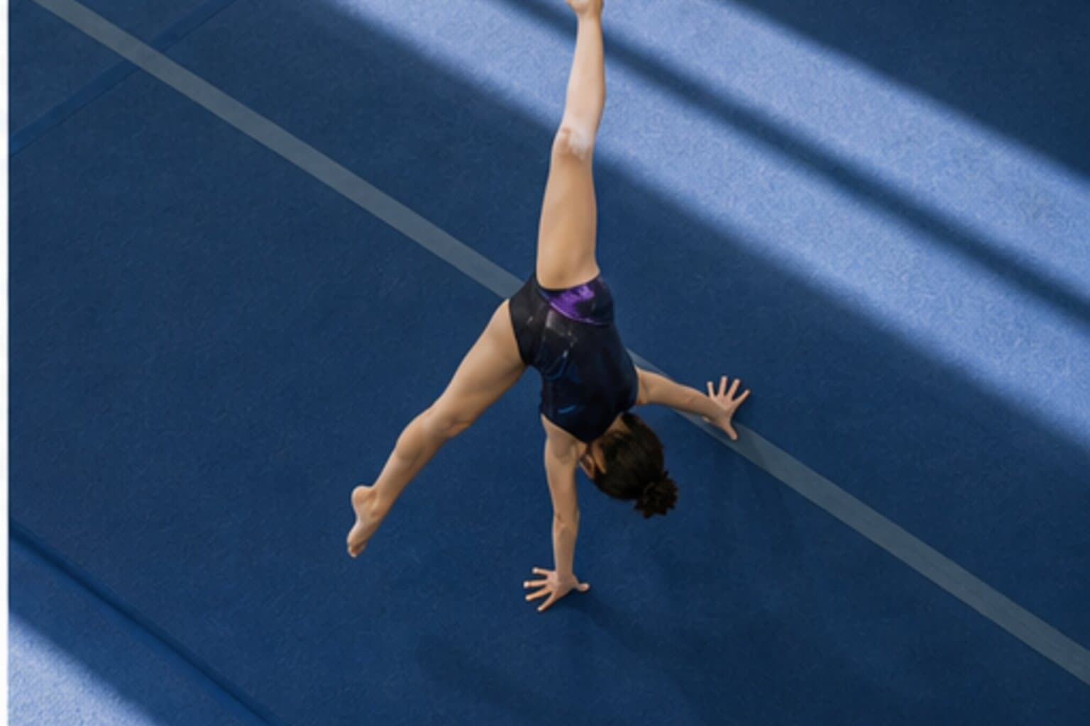 Apex Gymnastics